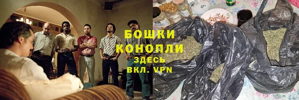 PSILOCYBIN Баксан